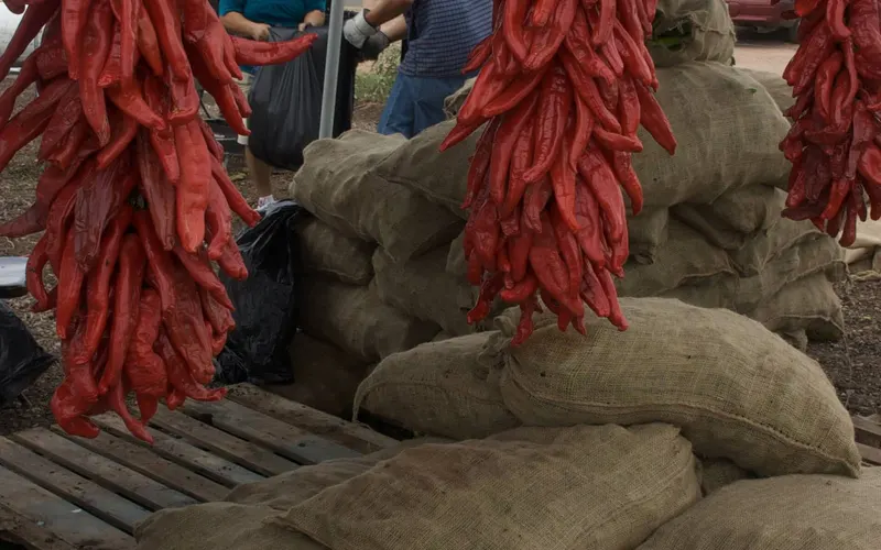 Red chile ristras hanging beside sacks of chiles for sale in Hatch, New Mexico
