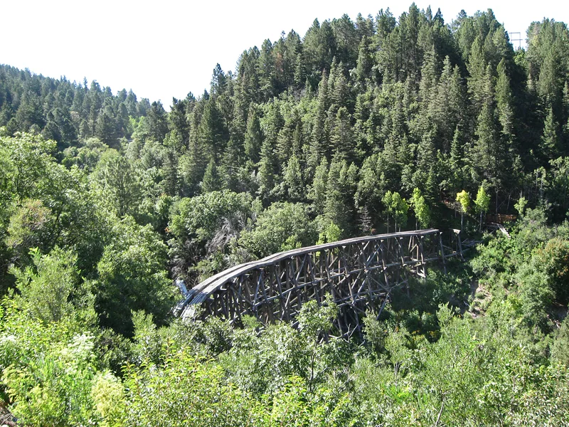 The wooden Mexican Canyon Trestle among pine trees near Cloudcroft
