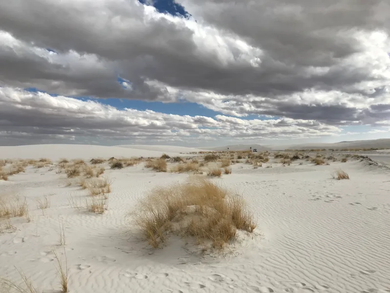 Wind-rippled white sand and dune grass beneath clouds at White Sands National Park