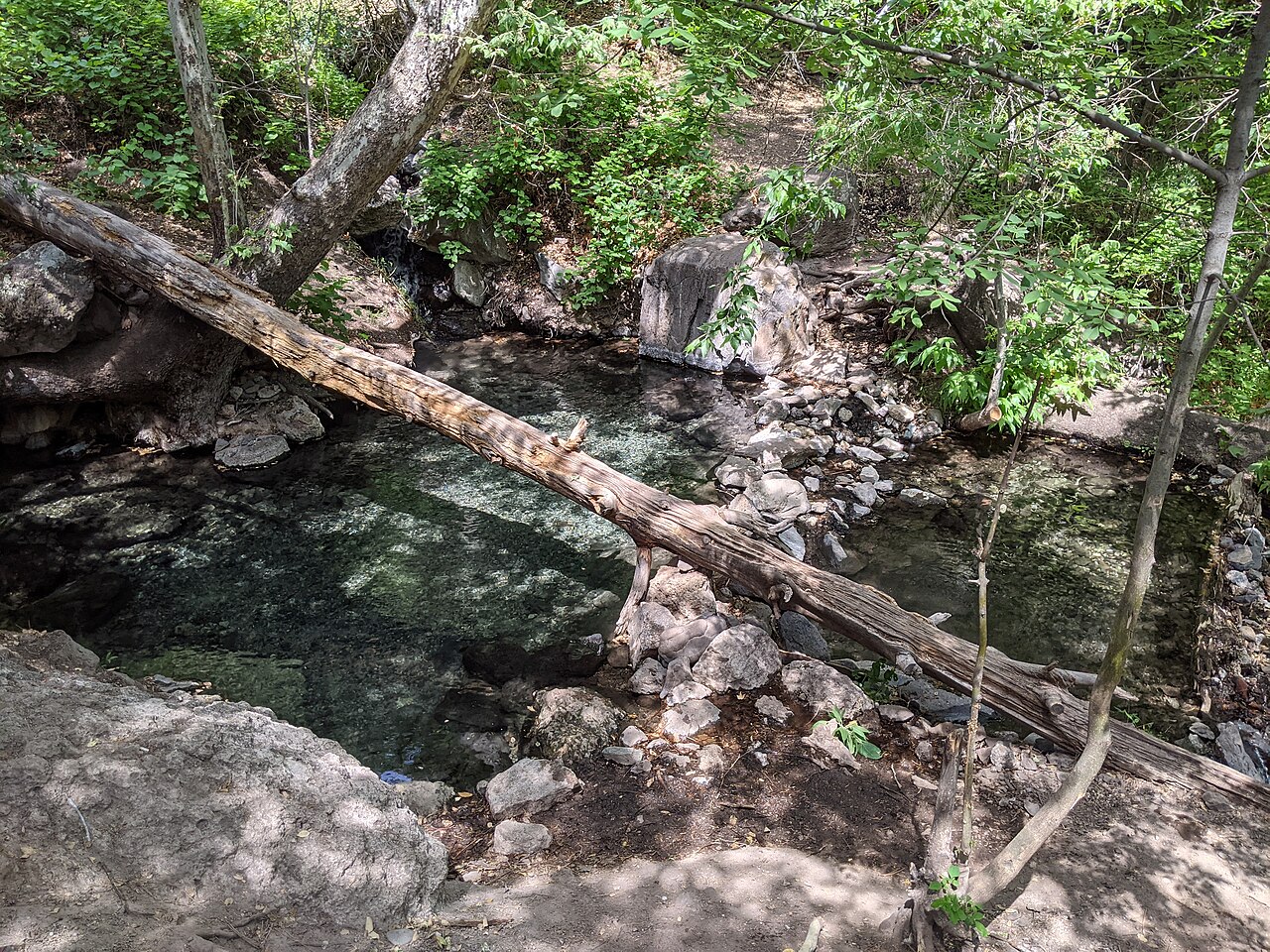 A view over Jordan Hot Springs in the Gila National Forest
