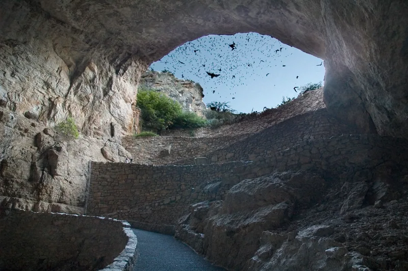 Bats flying out of the Natural Entrance, photographed from inside the stone cave arch