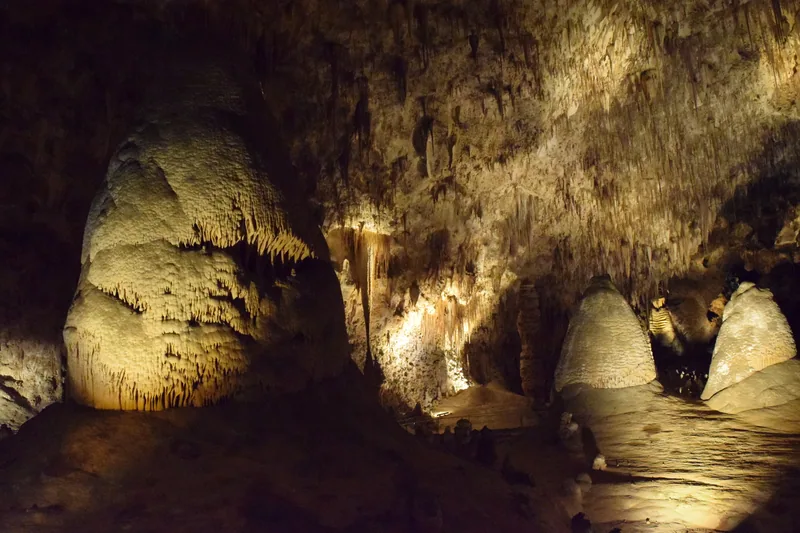 Illuminated stalagmites and hanging limestone formations in the Big Room