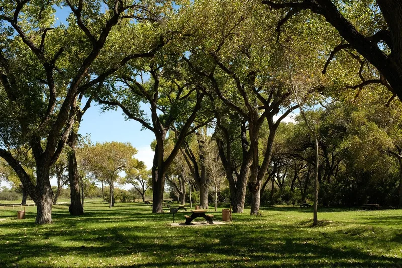Picnic tables under the shade of mature trees at Rattlesnake Springs