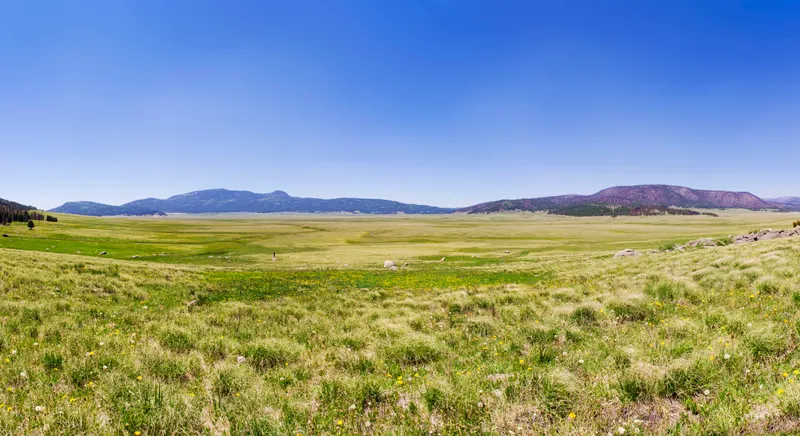 Open grassland and forested hills in Valles Caldera under a blue daytime sky